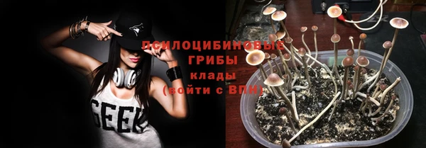 ECSTASY Алексеевка