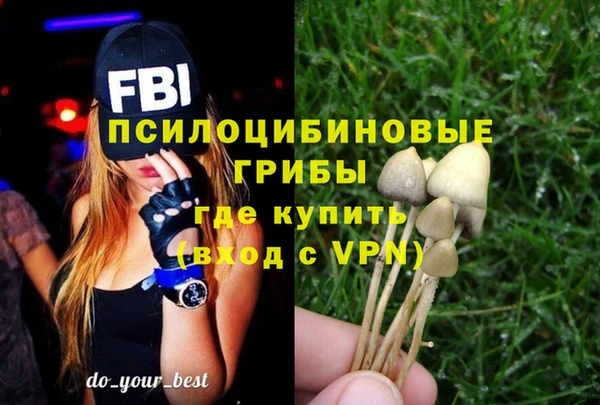 ECSTASY Алексеевка