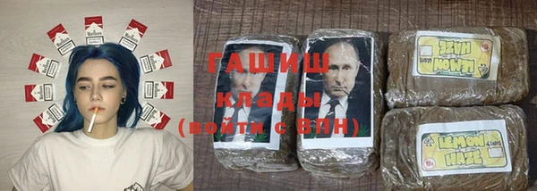 стаф Алзамай
