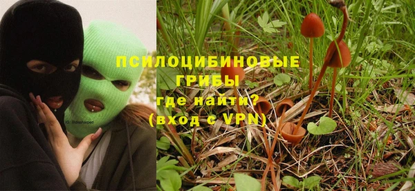 ECSTASY Алексеевка