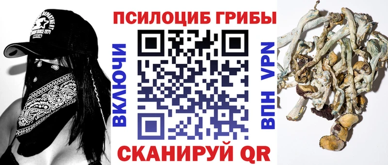 как найти наркотики  Кореновск  Псилоцибиновые грибы Psilocybe 