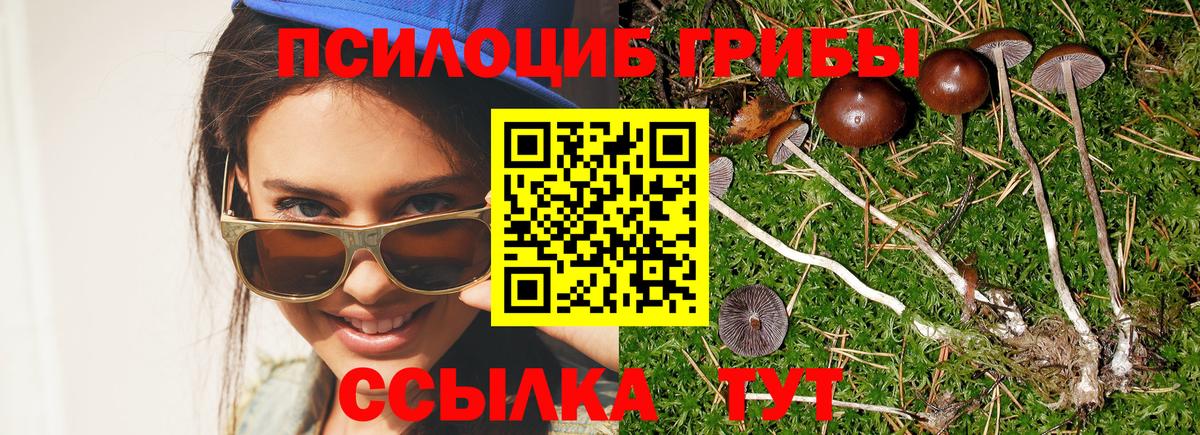 Псилоцибиновые грибы GOLDEN TEACHER Кореновск